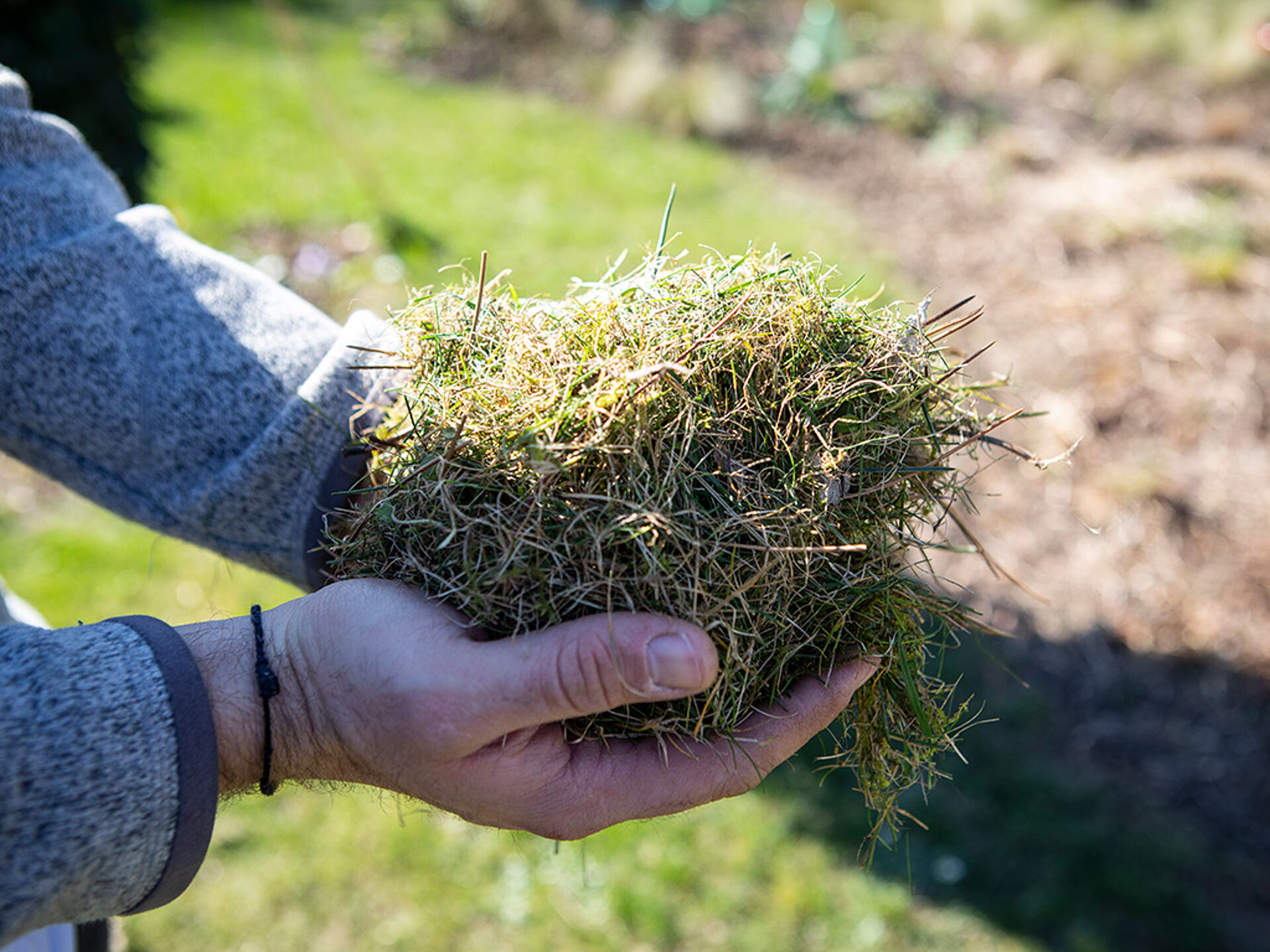 How to Get Your Garden Ready for Spring